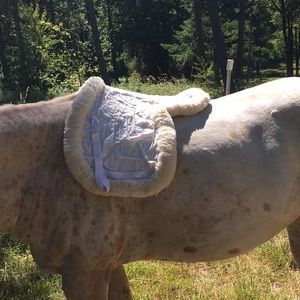 English Fitted Sheepskin Pad: Horse Tack